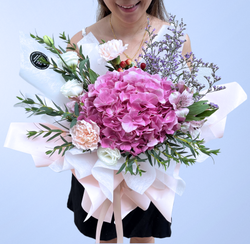 Blissful - Pink Hydrangea