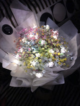 Rainbow Baby's Breath