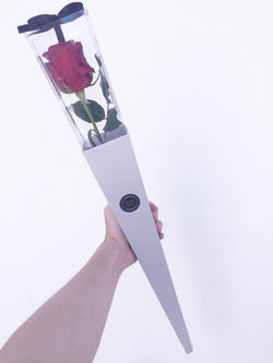 Exquisite Rose Holder (1 Stalk)