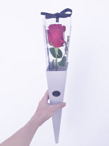 Exquisite Rose Holder (1 Stalk)
