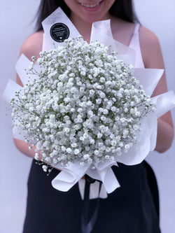 White Baby's Breath